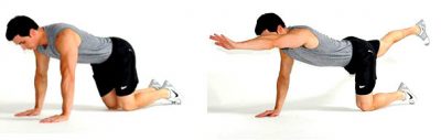 preview-full-bird-dog-exercise-basic-1
